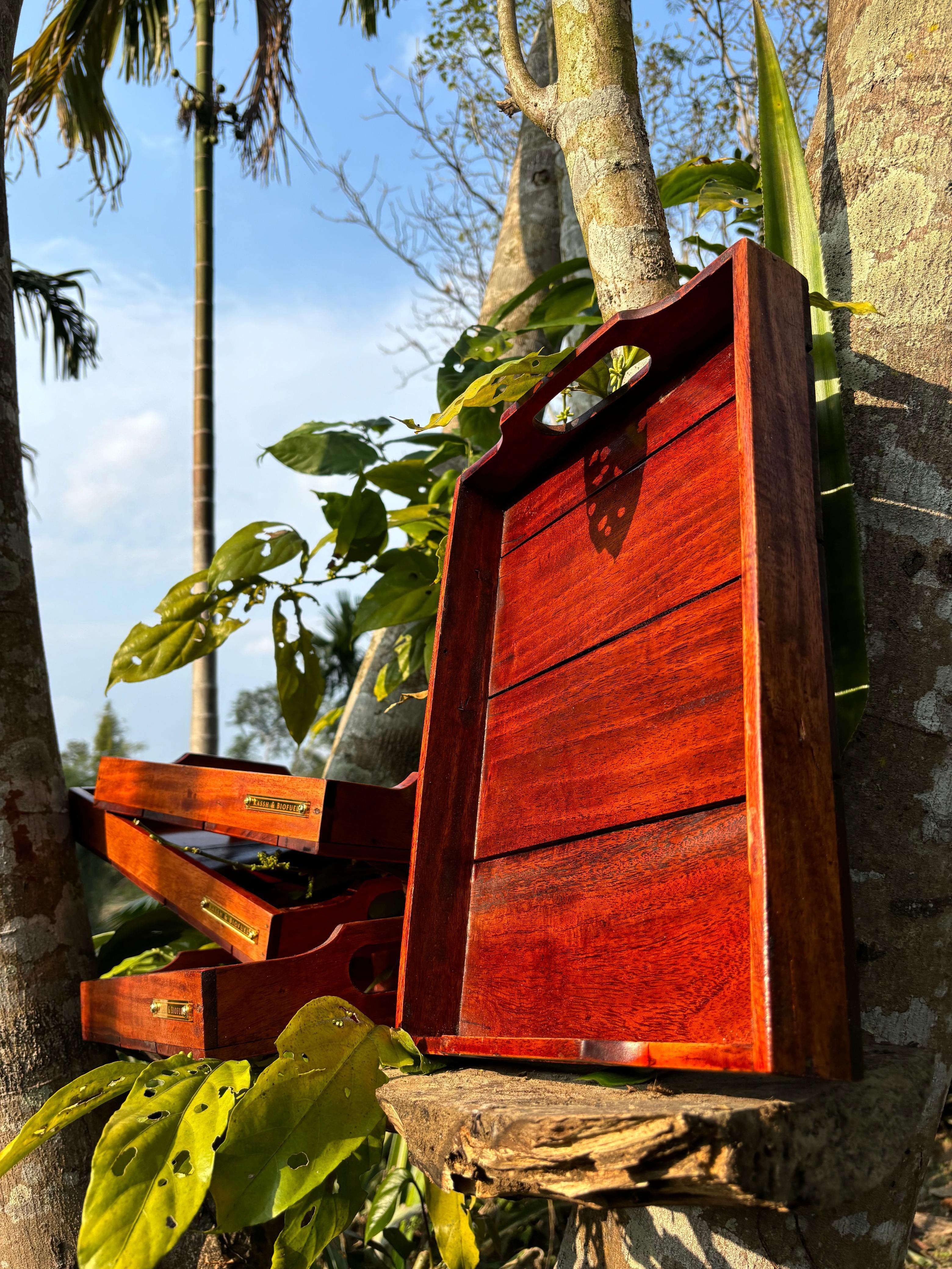 Bio Fuel Bar Tray (Large)