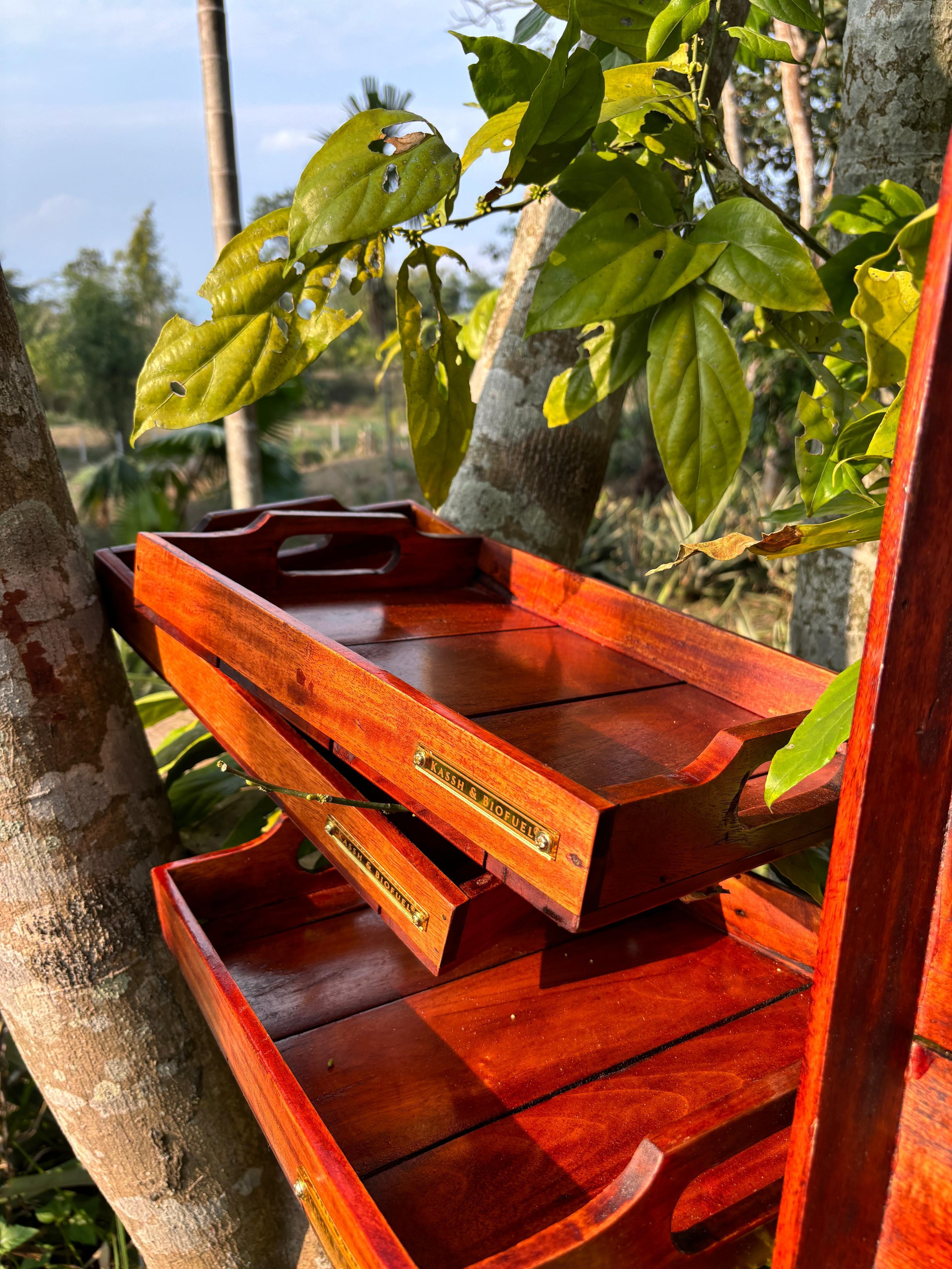 Bio Fuel Bar Tray (Medium)